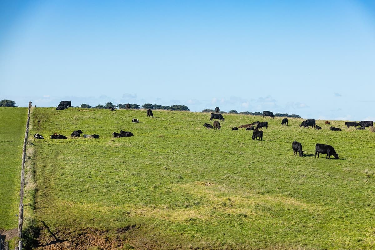 Penshurst - Port Fairy Road, Crossley, VIC, Crossley - Thumbnail 7