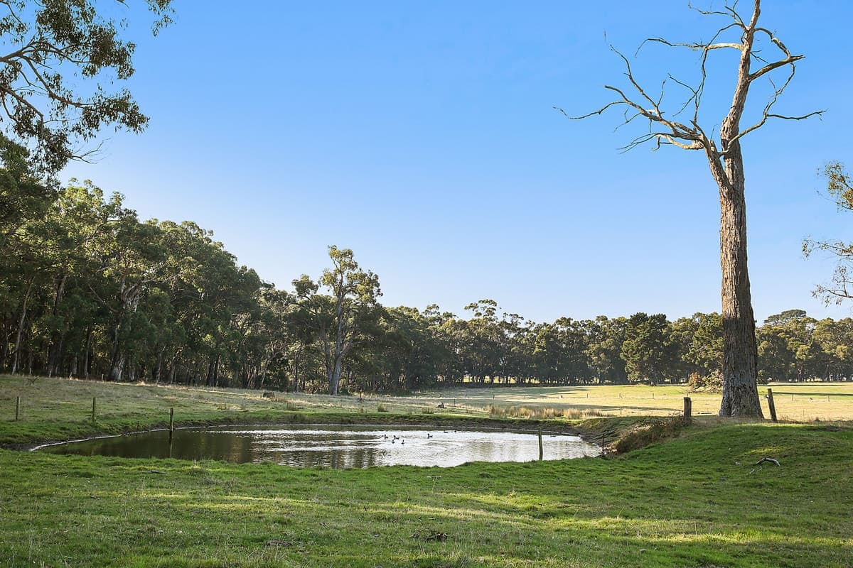 420 Barongarook Road, Barongarook, VIC, Barongarook - Thumbnail 3