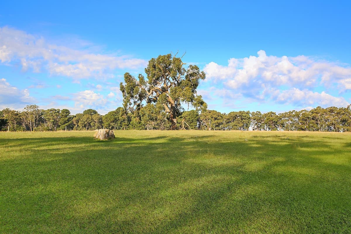 420 Barongarook Road, Barongarook, VIC, Barongarook - Thumbnail 5