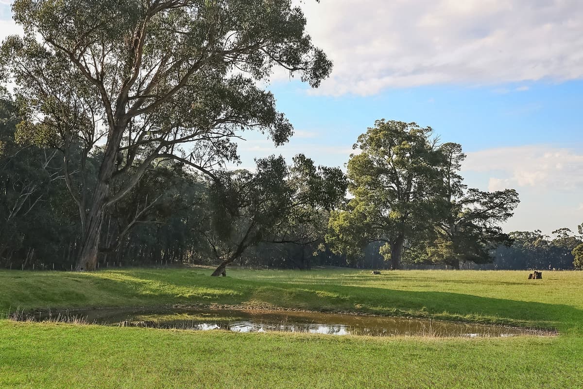 420 Barongarook Road, Barongarook, VIC, Barongarook - Thumbnail 6