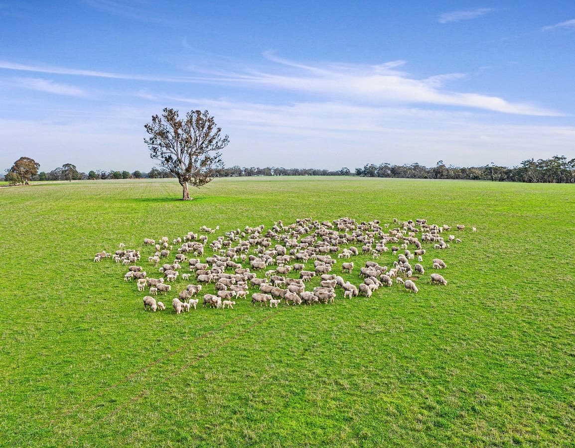 786 Rocklands Road, Balmoral, VIC, Balmoral - Image 1