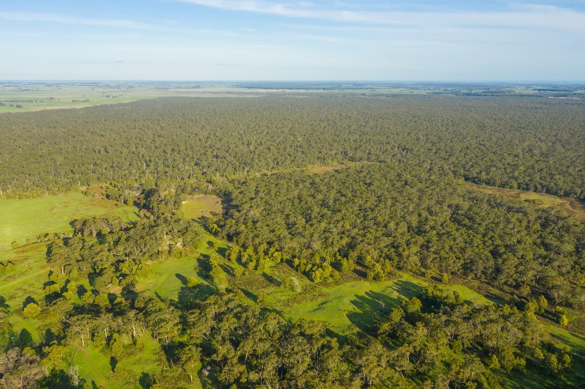64 D Addinsall Road, Macarthur, VIC, Macarthur - Thumbnail 3