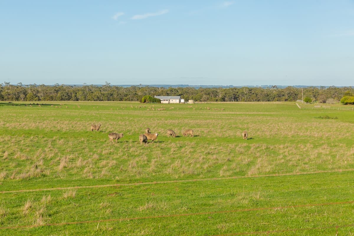 64 D Addinsall Road, Macarthur, VIC, Macarthur - Thumbnail 8