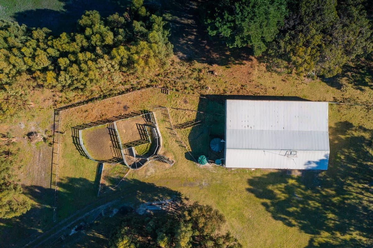 695 Portland - Nelson Road, Gorae West, VIC, Gorae West - Thumbnail 4