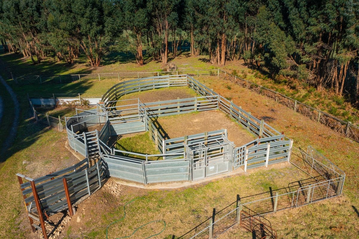 695 Portland - Nelson Road, Gorae West, VIC, Gorae West - Thumbnail 5
