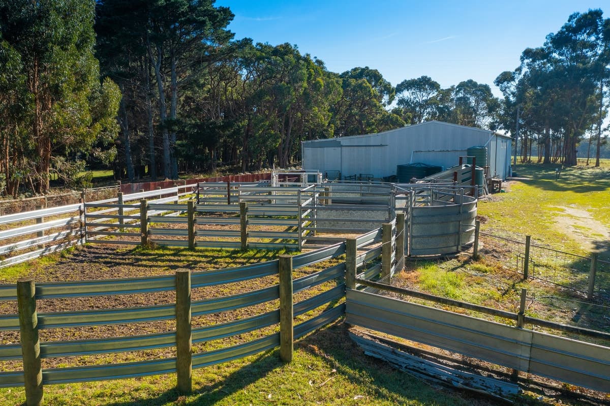 695 Portland - Nelson Road, Gorae West, VIC, Gorae West - Thumbnail 6