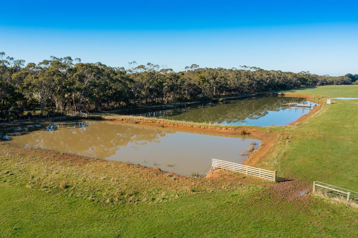 695 Portland - Nelson Road, Gorae West, VIC, Gorae West - Thumbnail 7