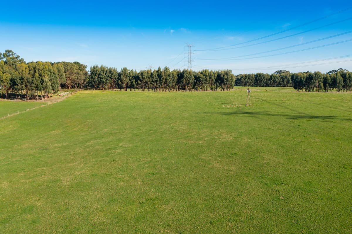 695 Portland - Nelson Road, Gorae West, VIC, Gorae West - Thumbnail 8