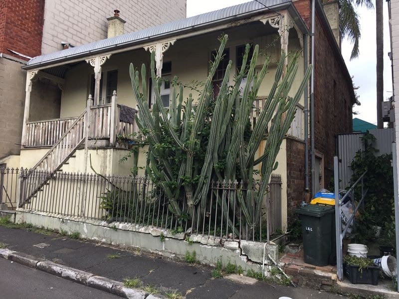 13 Water St, Annandale NSW 2038, Australia, Annandale - Thumbnail 2