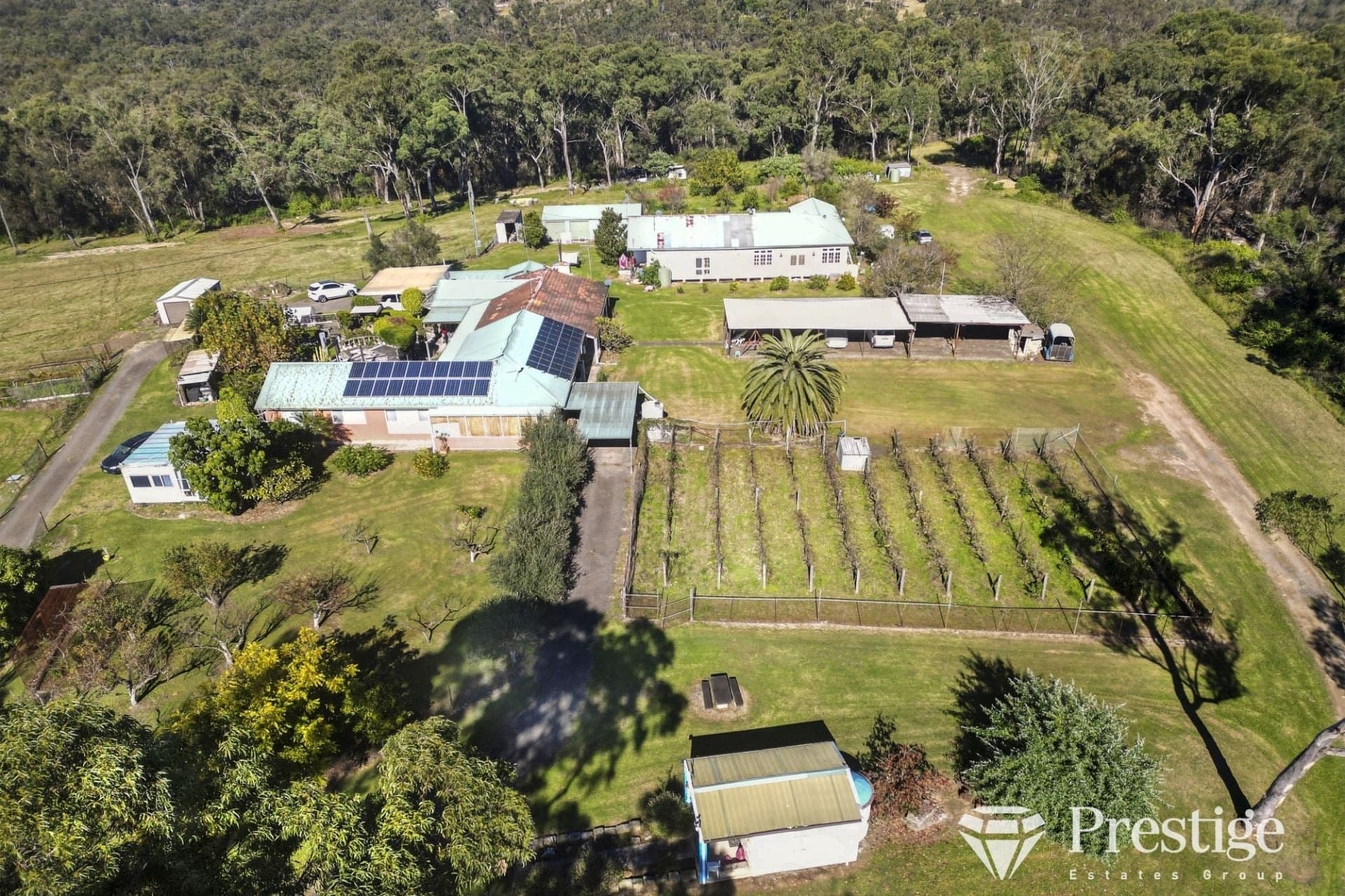 240c Pitt Town Road Kenthurst NSW, Kenthurst - Thumbnail 5