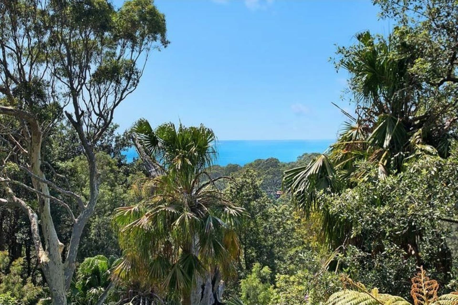 Lower 53 Chisholm Avenue, Avalon Beach, Avalon Beach - Thumbnail 4