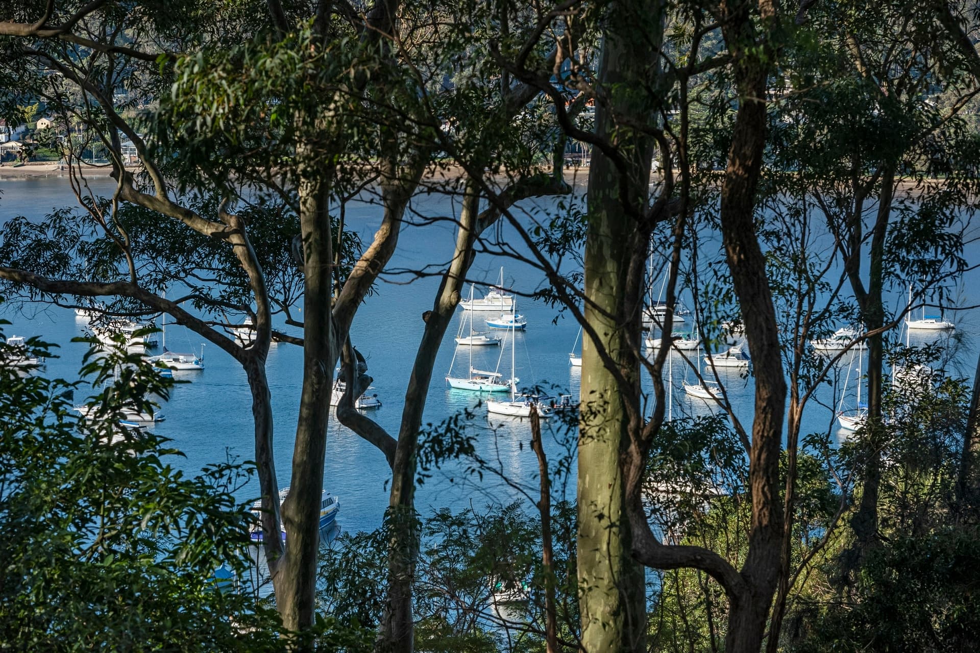 28 Trappers Way Avalon Beach NSW, Avalon Beach - Thumbnail 4
