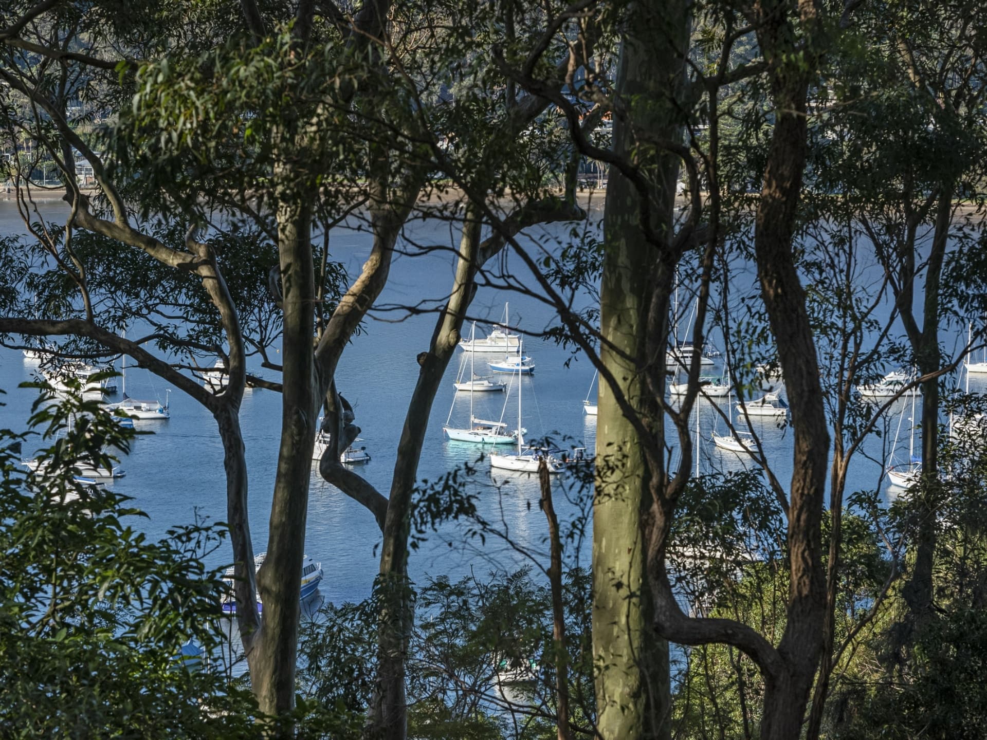 28 Trappers Way Avalon Beach NSW, Avalon Beach - Thumbnail 4