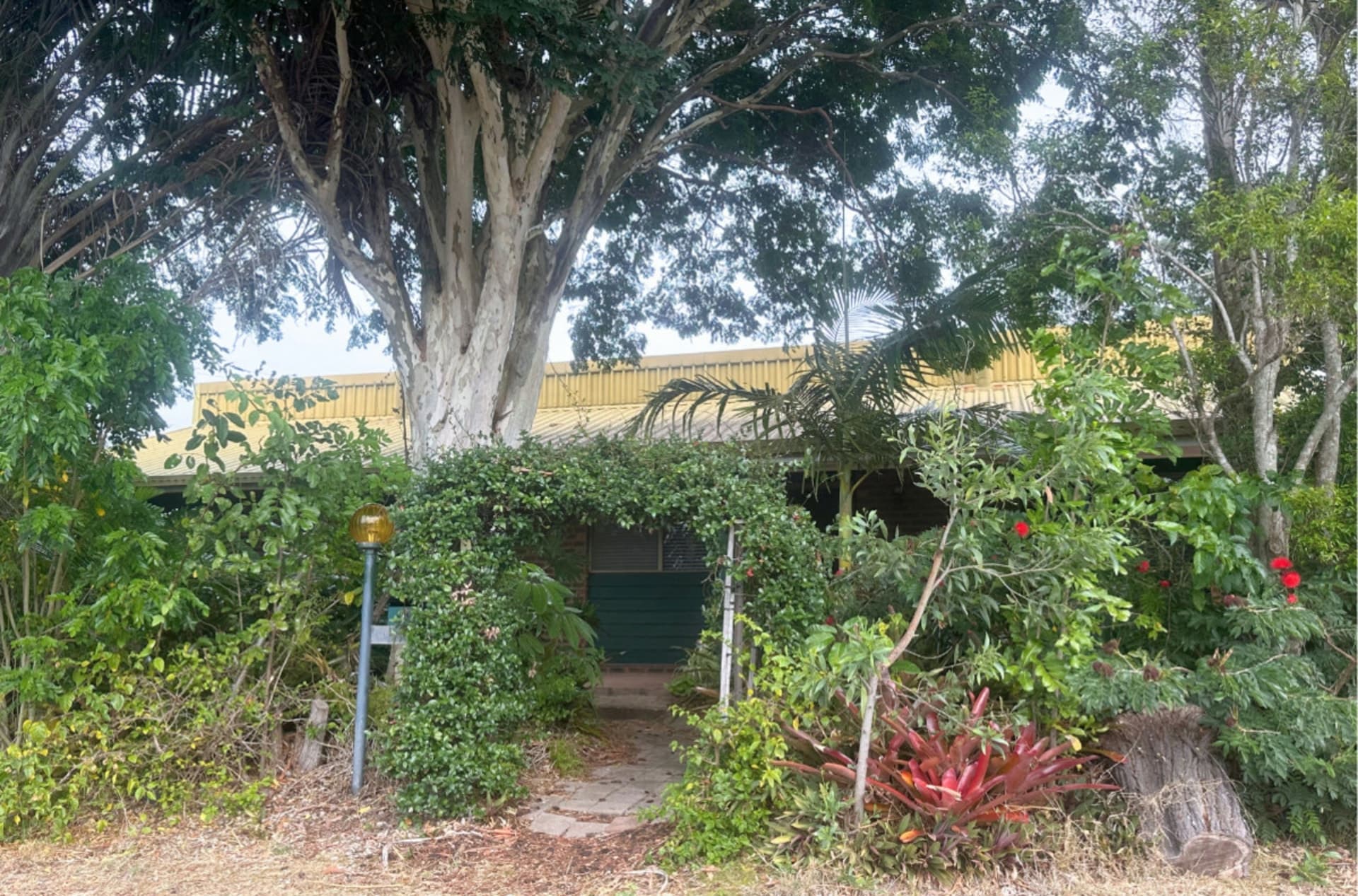 3 McLucas Street Avoca QLD, Avoca - Image 1