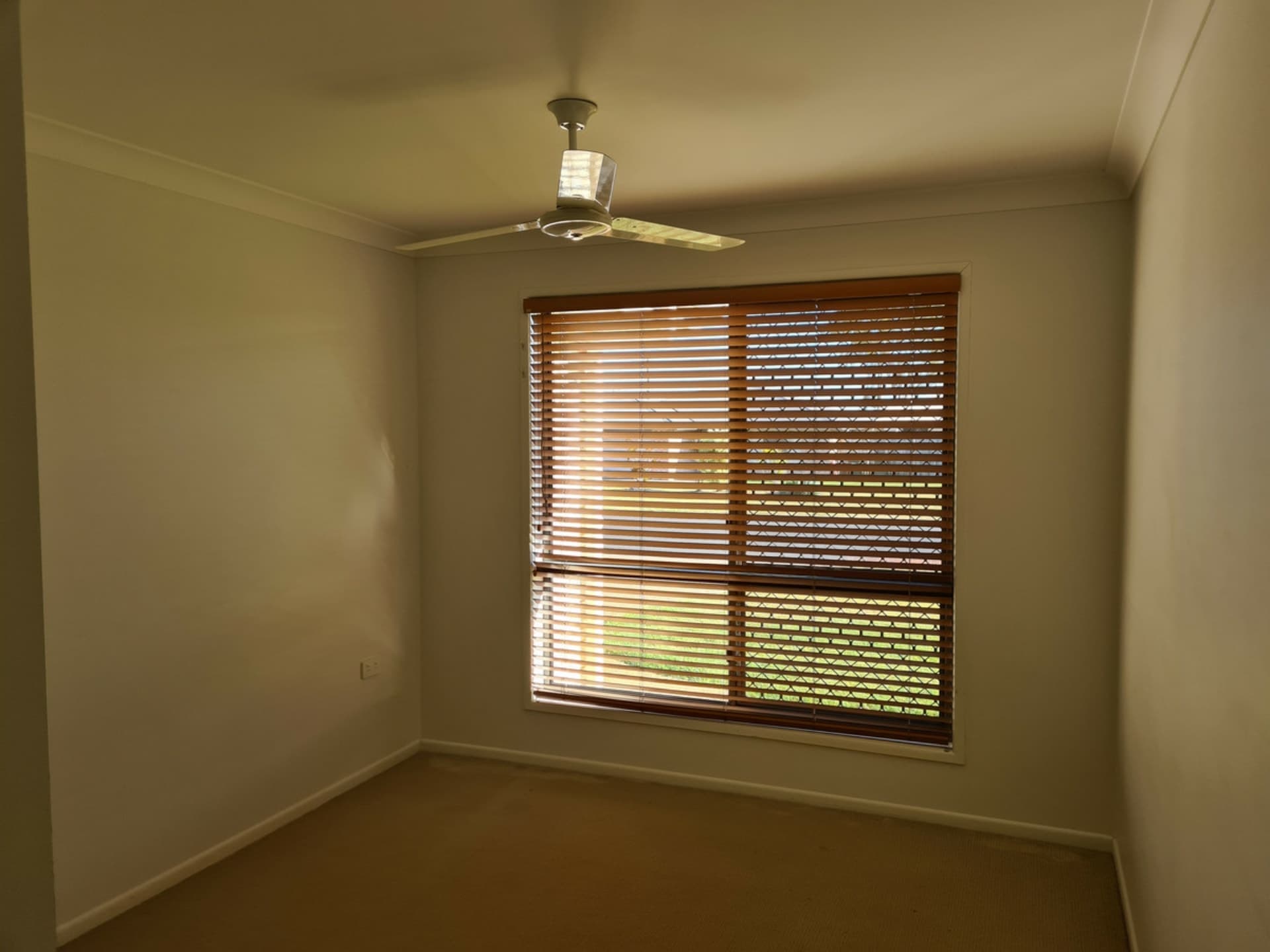 3 Finbay Avenue Avoca QLD, Avoca - Thumbnail 7