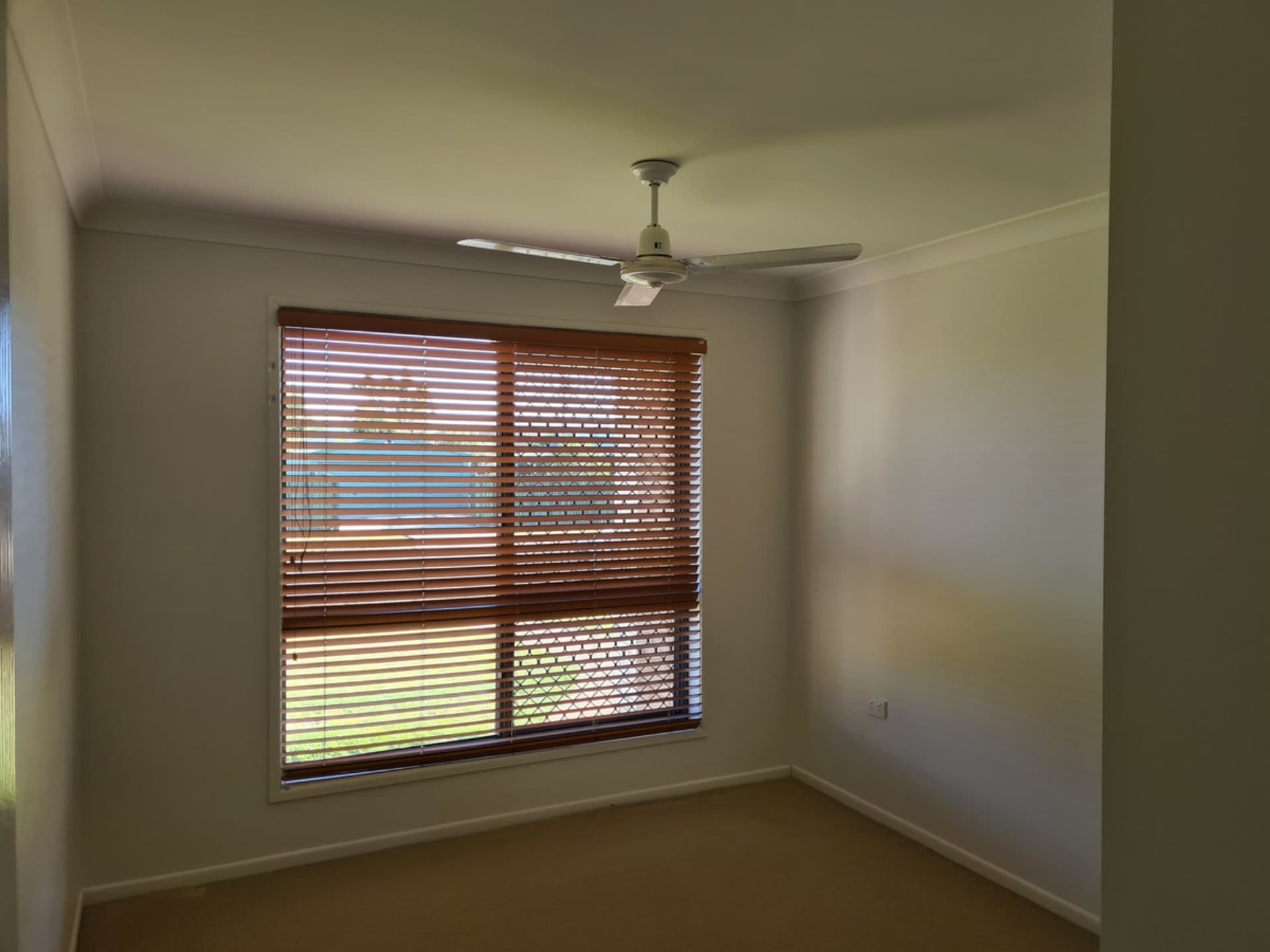 3 Finbay Avenue Avoca QLD, Avoca - Thumbnail 8