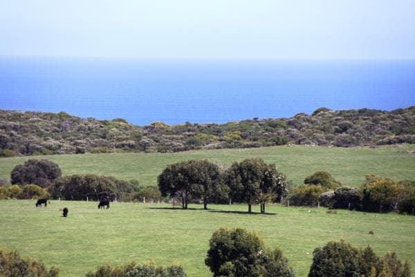 Lot 1. Kennedys Road, Cape Bridgewater, VIC, 3305, Australia, Cape Bridgewater - Thumbnail 2