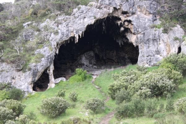 Lot 1. Kennedys Road, Cape Bridgewater, VIC, 3305, Australia, Cape Bridgewater - Thumbnail 4