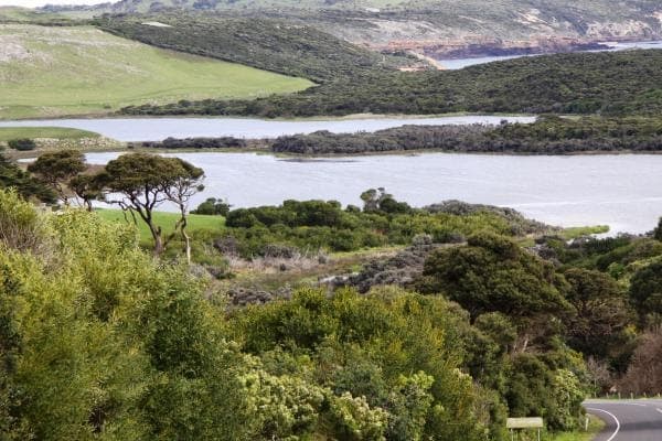 Lot 1. Kennedys Road, Cape Bridgewater, VIC, 3305, Australia, Cape Bridgewater - Thumbnail 7