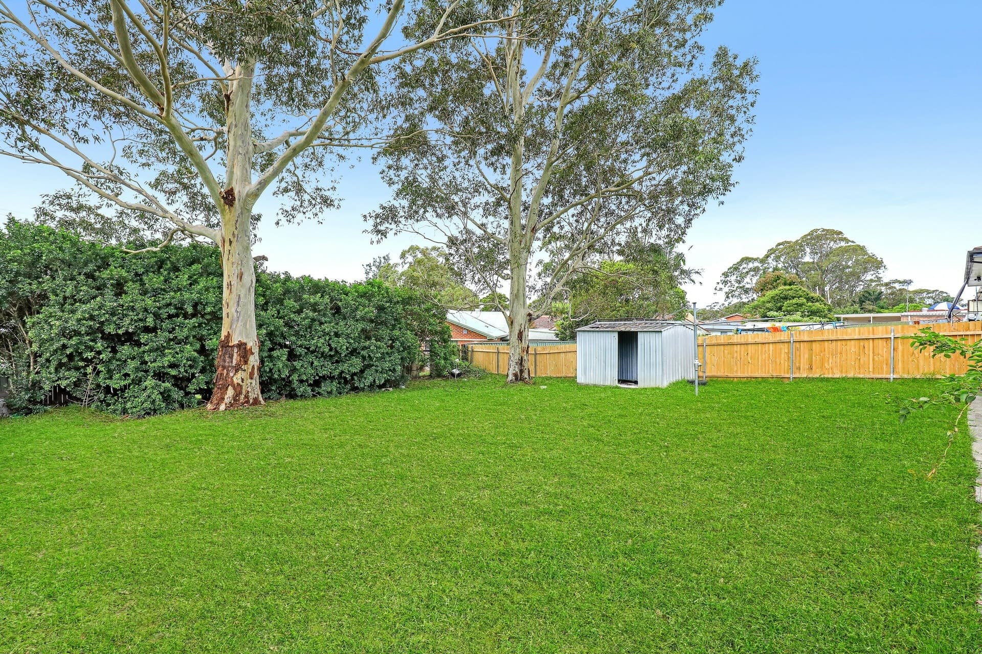 5 Turnbull Crescent Avondale NSW, Avondale - Thumbnail 5