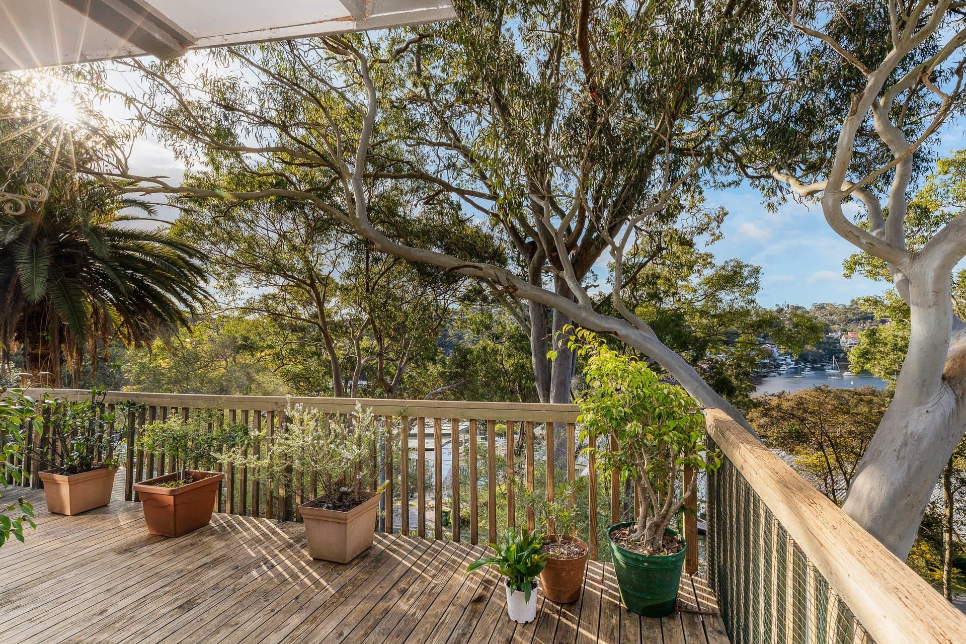 144 Peninsular Road, Grays Point - Thumbnail 2