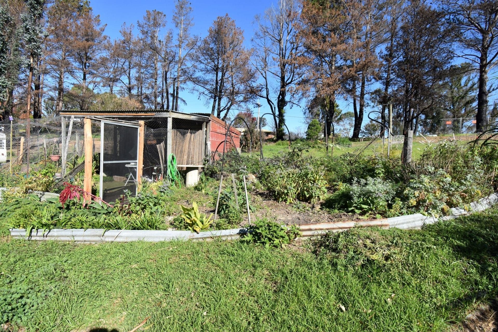 23-31 Bermaguee Street Quaama NSW, Quaama - Thumbnail 4