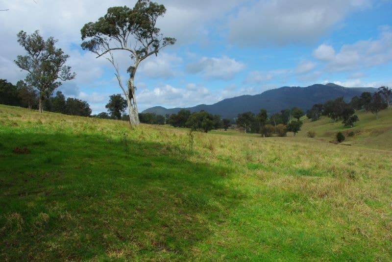 Lot 7 Field Buckets Road Quaama NSW, Quaama - Image 1