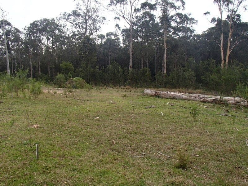 Lot 77 Redfern Close South Pambula NSW, South Pambula - Image 1