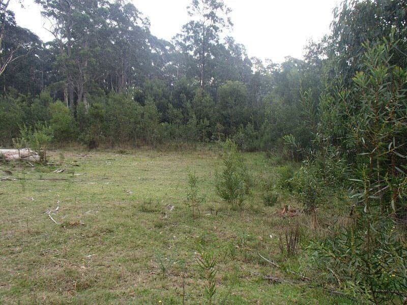 Lot 77 Redfern Close South Pambula NSW, South Pambula - Thumbnail 3