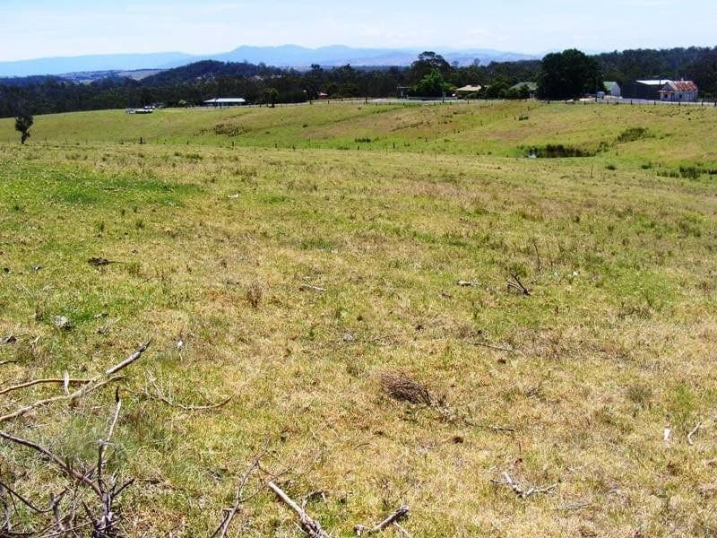 Lot 3 Scott Street Wolumla NSW, Wolumla - Image 1