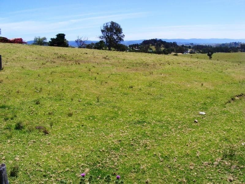 Lot 3 Scott Street Wolumla NSW, Wolumla - Thumbnail 4