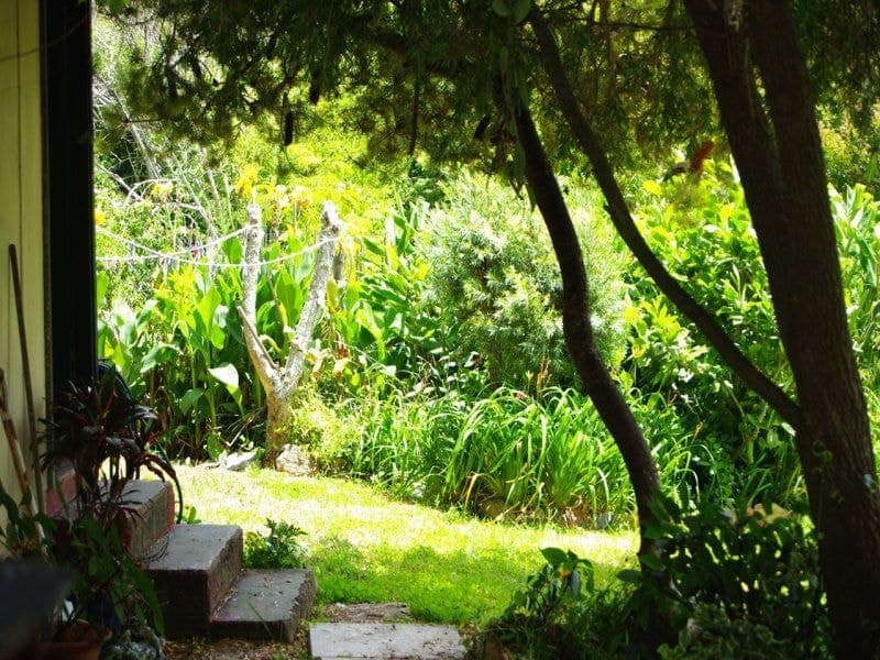 32 Nutleys Creek Road Bermagui NSW, Bermagui - Thumbnail 2