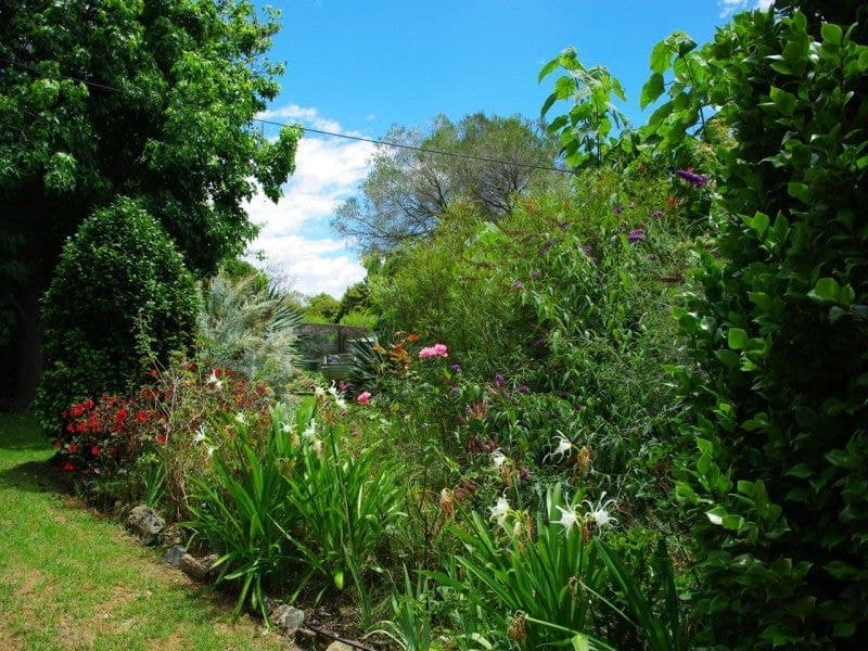 32 Nutleys Creek Road Bermagui NSW, Bermagui - Thumbnail 4