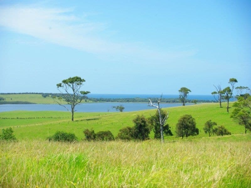 125 Sunnyside Road CENTRAL TILBA NSW, Central Tilba - Thumbnail 4