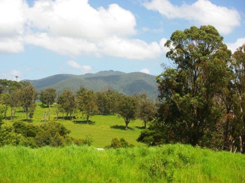 125 Sunnyside Road CENTRAL TILBA NSW, Central Tilba - Thumbnail 5