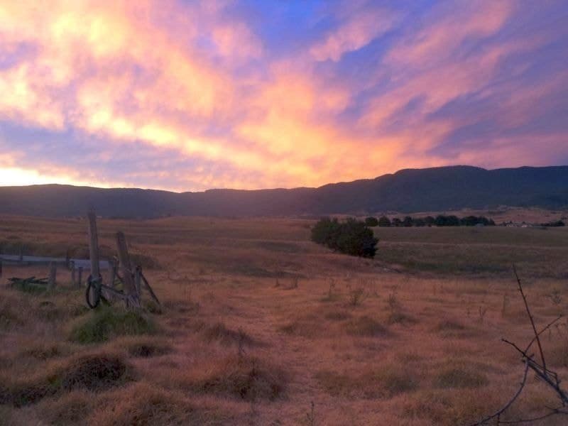 53 Parkes Street Bemboka NSW, Bemboka - Thumbnail 2