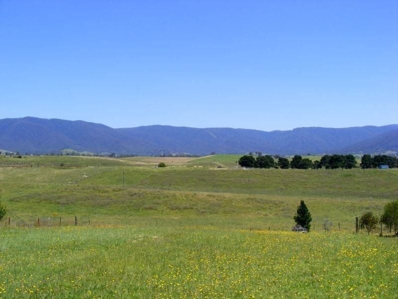 53 Parkes Street Bemboka NSW, Bemboka - Thumbnail 3