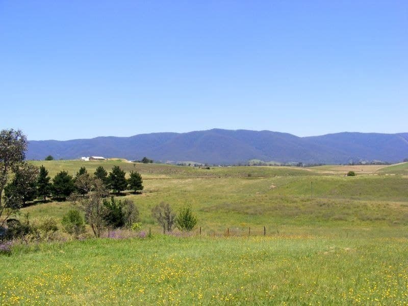 53 Parkes Street Bemboka NSW, Bemboka - Thumbnail 4