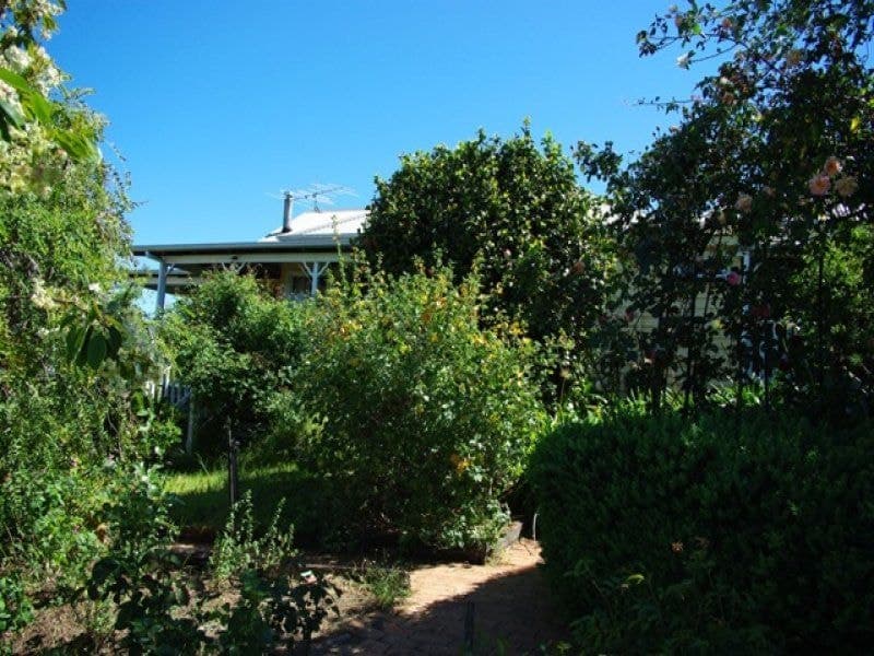 23 County Boundary Road COBARGO NSW, Cobargo - Image 1