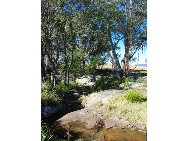 356 Verona Road QUAAMA NSW, Quaama - Thumbnail 5