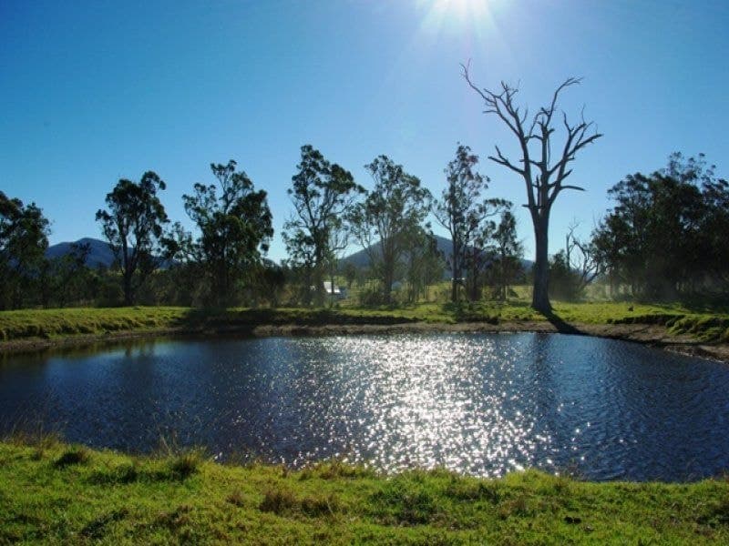 356 Verona Road QUAAMA NSW, Quaama - Thumbnail 6