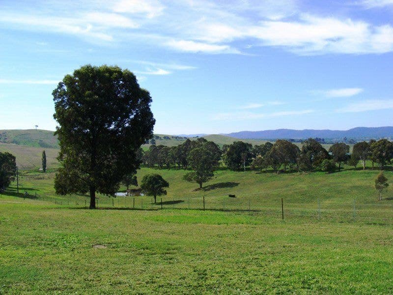 906 Candelo Wolumla Road Toothdale NSW, Toothdale - Thumbnail 6