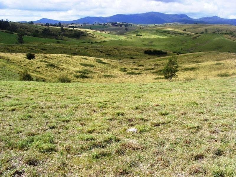 1473 Candelo Wolumla Road Candelo NSW, Candelo - Thumbnail 2