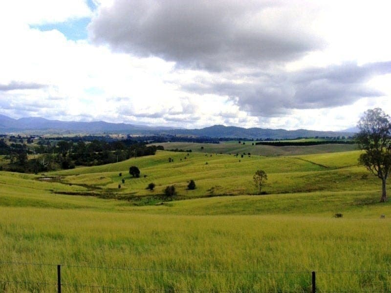 1473 Candelo Wolumla Road Candelo NSW, Candelo - Thumbnail 3