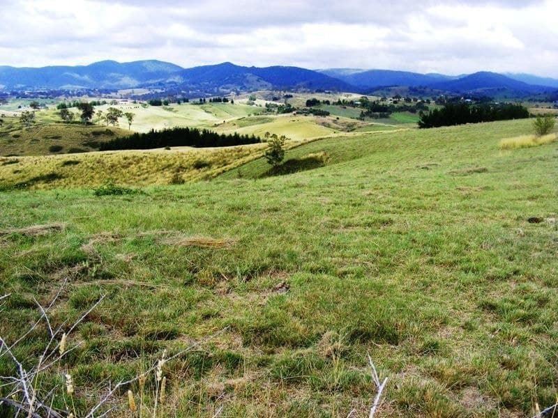 1473 Candelo Wolumla Road Candelo NSW, Candelo - Thumbnail 4