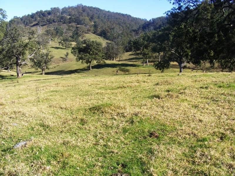 Lot 21 Upper Cobargo Road Bega NSW, Bega - Image 1