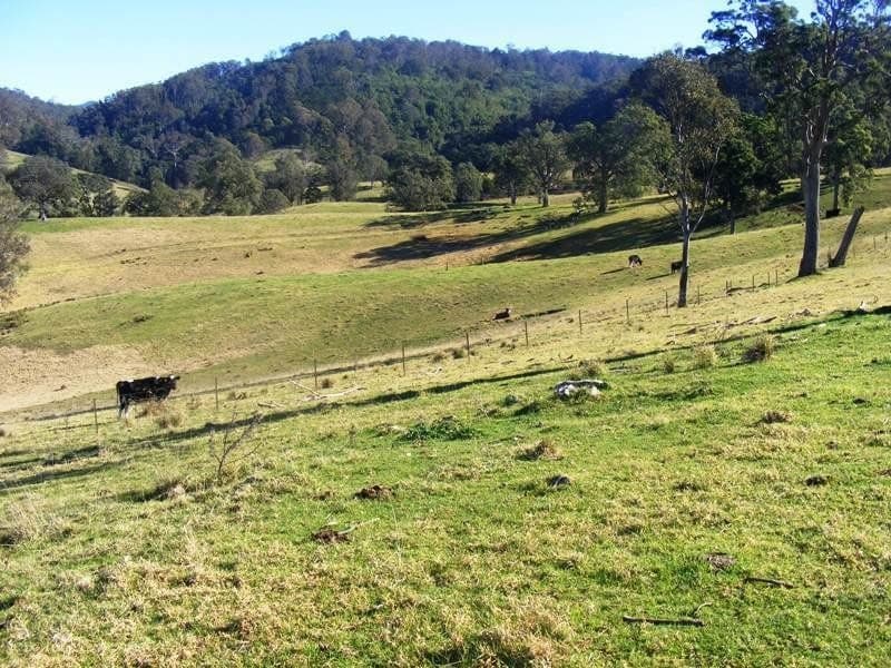 Lot 21 Upper Cobargo Road Bega NSW, Bega - Thumbnail 2