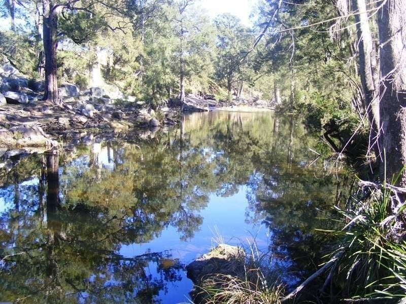 Lot 21 Upper Cobargo Road Bega NSW, Bega - Thumbnail 3