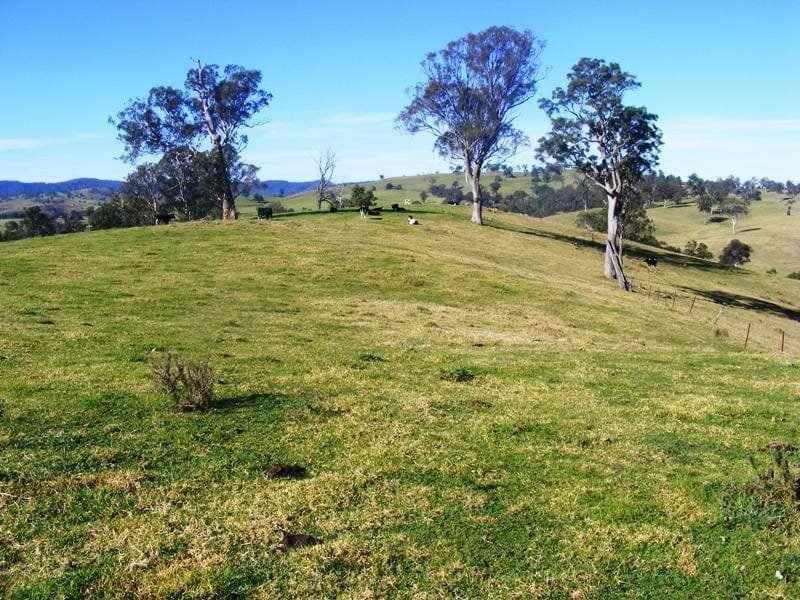 Lot 21 Upper Cobargo Road Bega NSW, Bega - Thumbnail 4