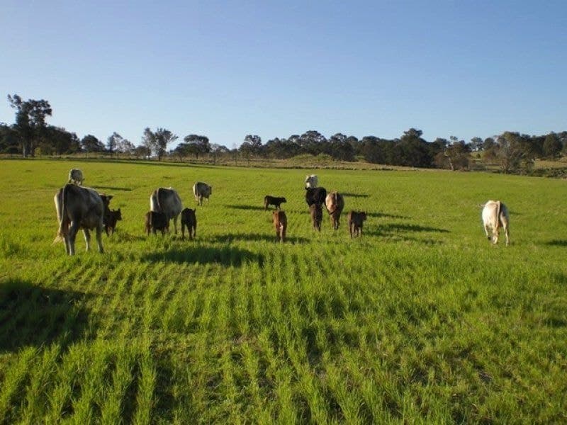 11572 Princes Highway VERONA NSW, Verona - Thumbnail 5